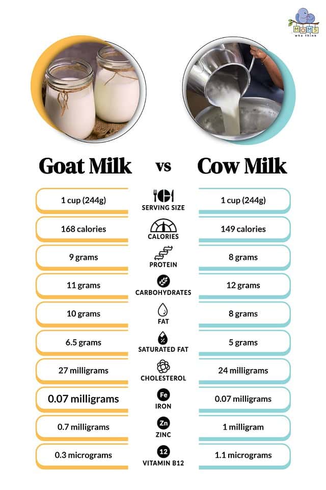 Goat Milk Vs Cow Milk 3 Key Differences From Digestibility To Taste