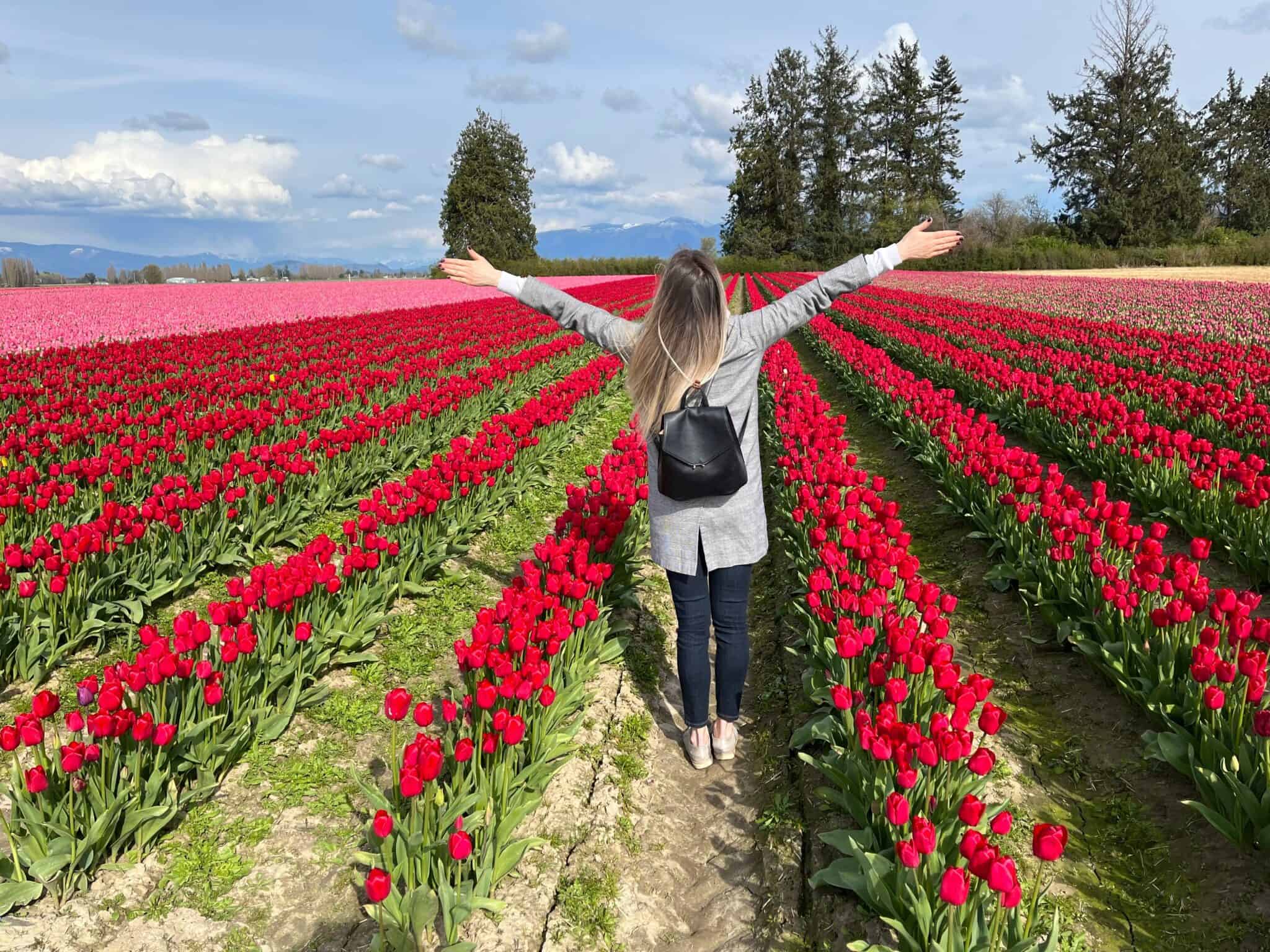 10 Different Day Trip Ideas From Seattle We Love! | MomsWhoThink.com