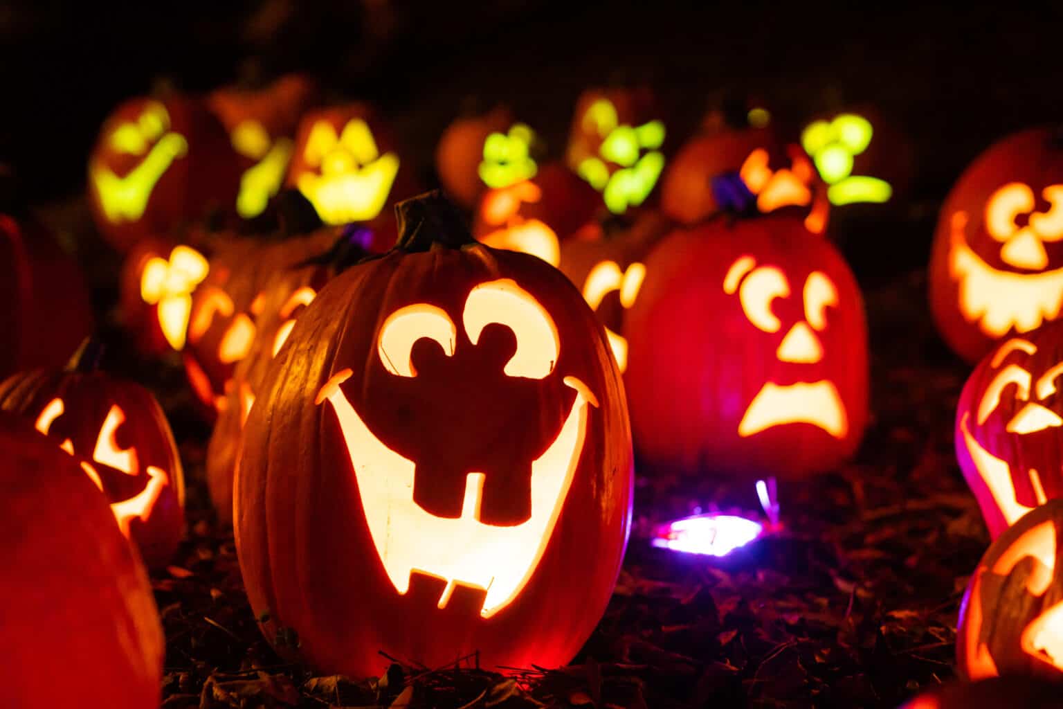 Pumpkins at Kentucky Kingdom: Your New Halloween Tradition!