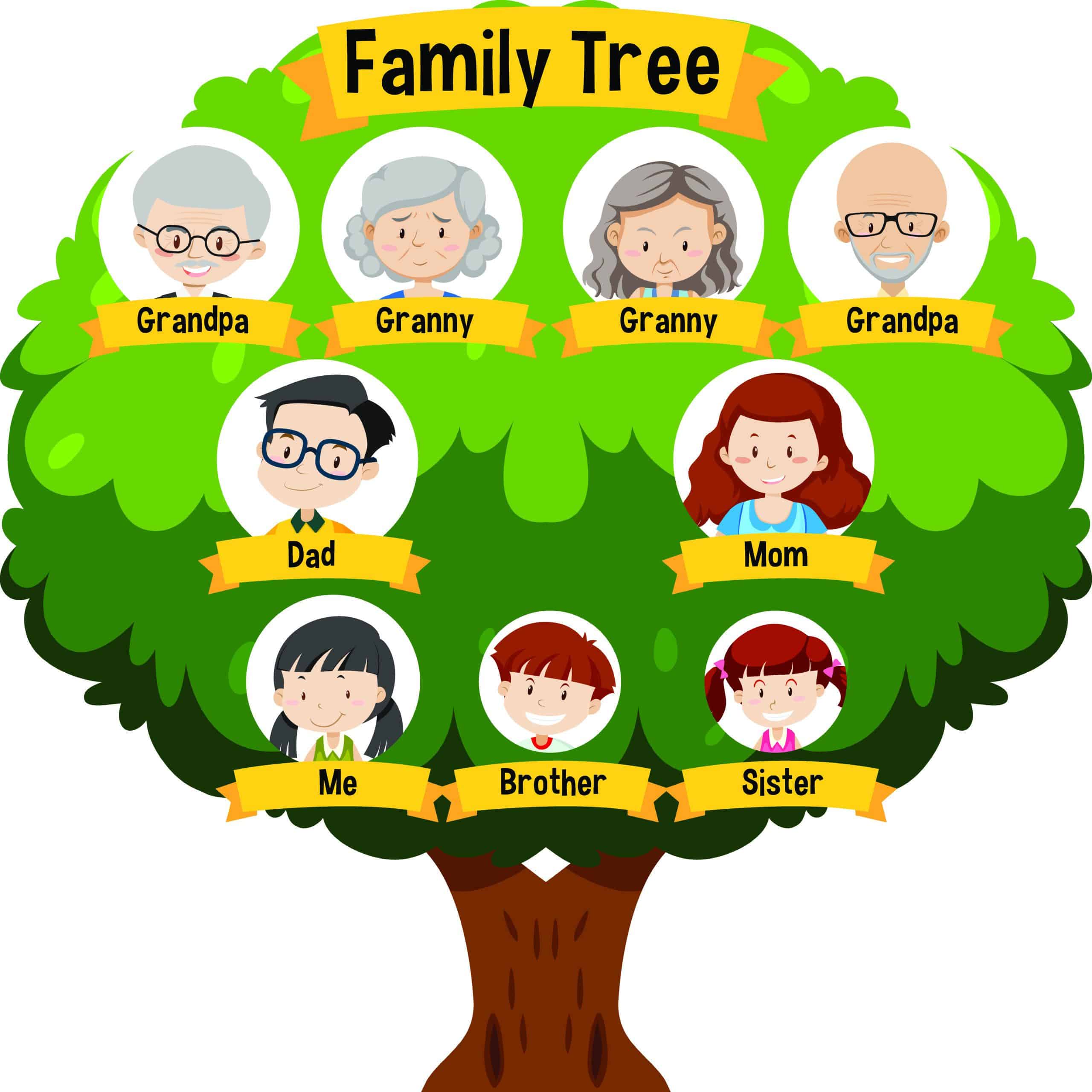 Draw a Family Tree