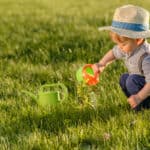 Plant Flowers or Trees in the Park