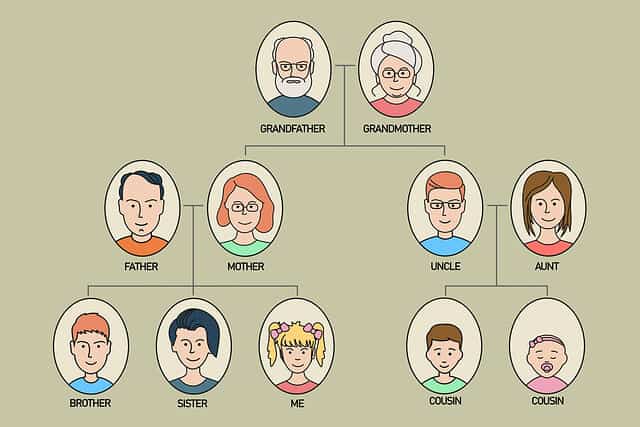 Easy Cousin Chart: Family Relationships Explained – Moms Who Think