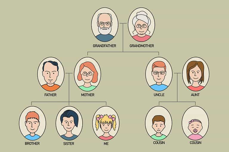 Easy Cousin Chart: Family Relationships Explained