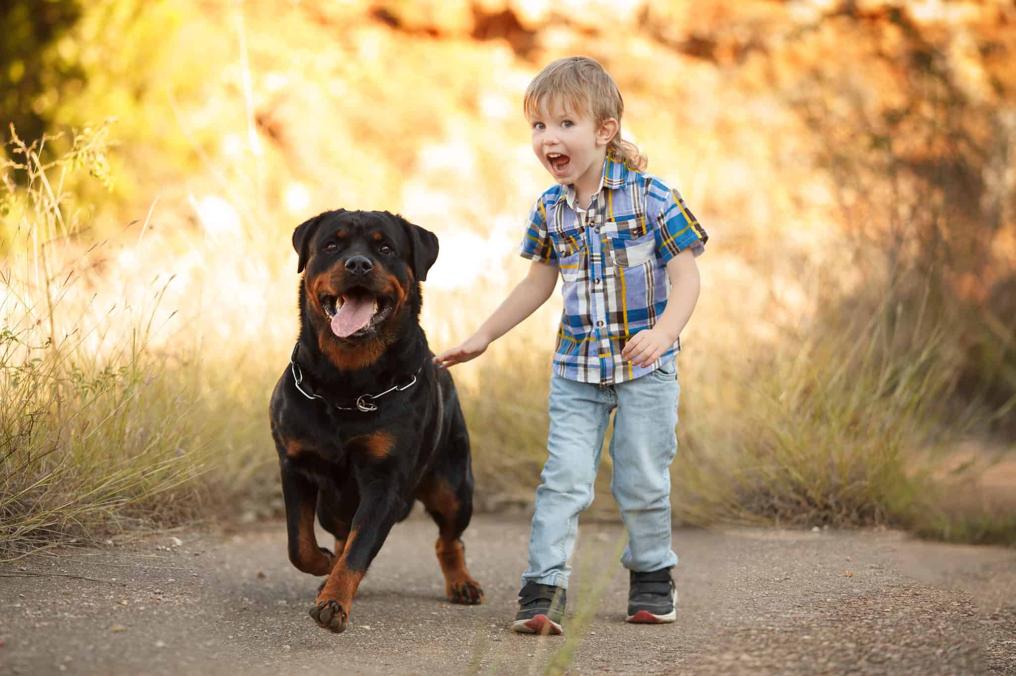 Are Rottweilers Good With Kids? What Parents Need To Know