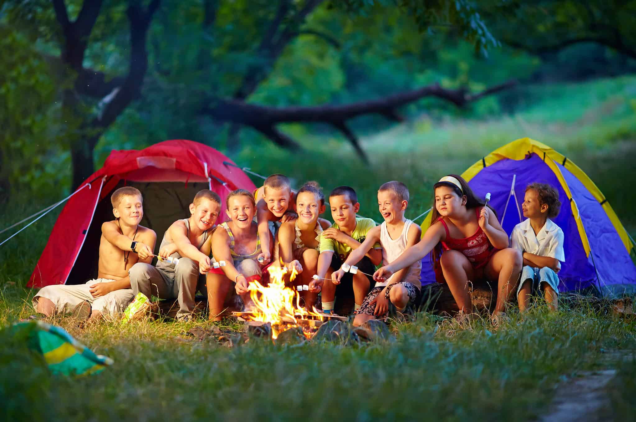 Организация палаточного лагеря. Палаточный лагерь. Туристический лагерь. Палаточный лагерь для детей. Отдых на природе.