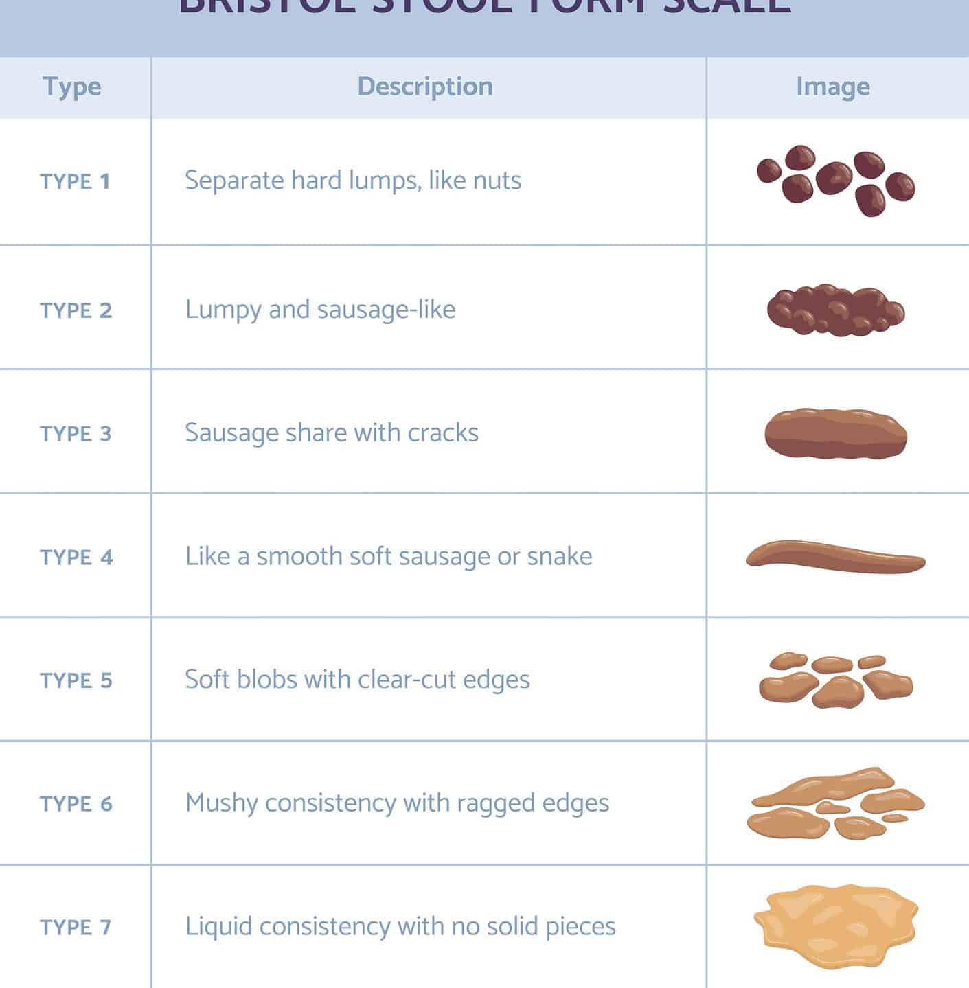 Types Of Poop: A Free Bristol Stool Chart