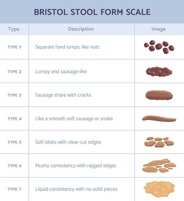 Types Of Poop: A Free Bristol Stool Chart – Moms Who Think