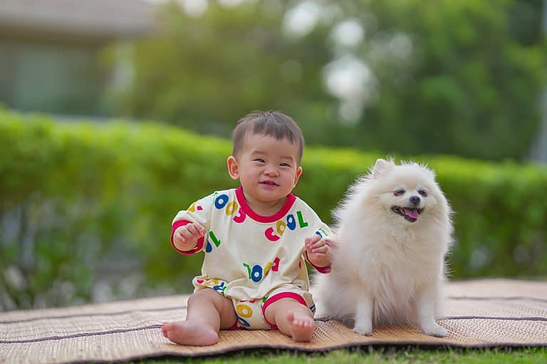 13 Small Dogs That Are Good With Kids