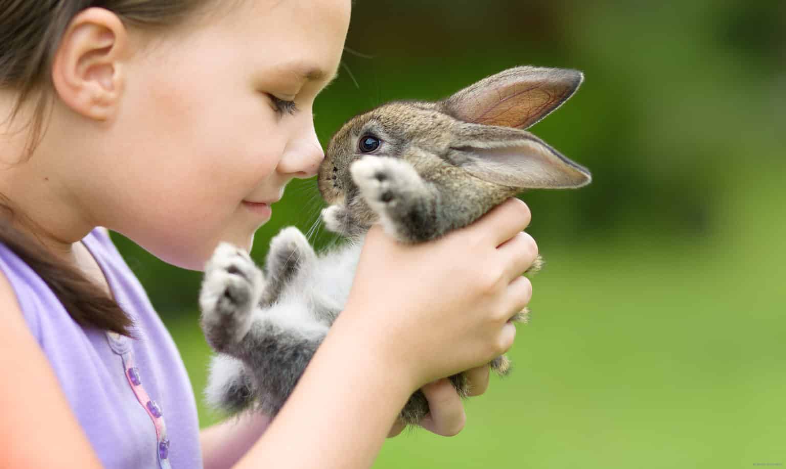 Are Petting Zoo Birthday Parties A Good Idea?