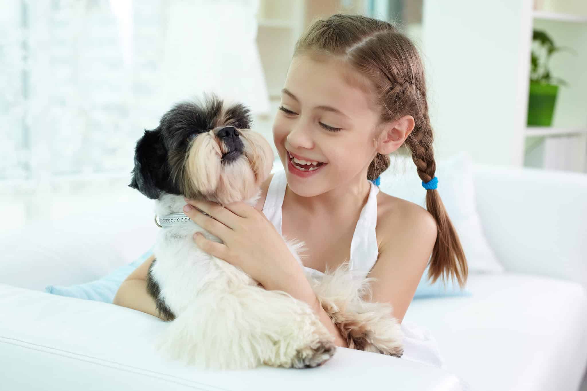 13 Small Dogs That Are Good With Kids