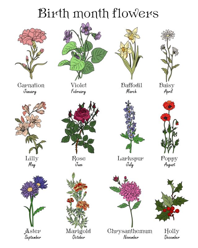 Free Birth Flower Chart, With Meanings