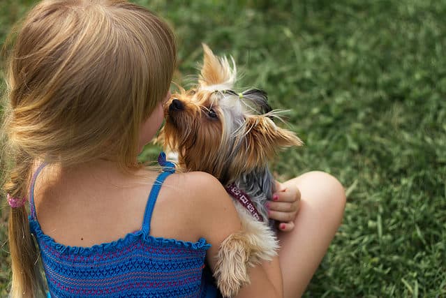 13 Small Dogs That Are Good With Kids