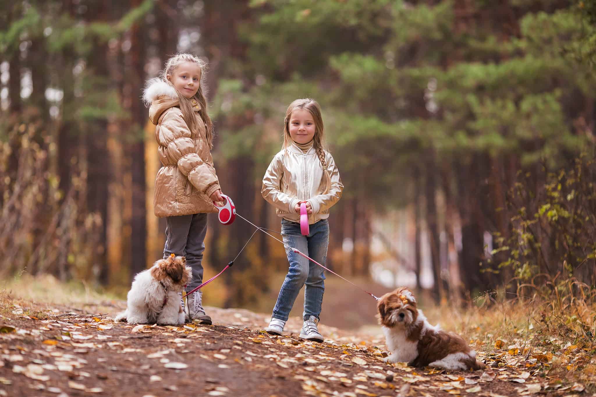 Are Shih Tzus Good With Kids? What Parents Need To Know – Moms Who Think