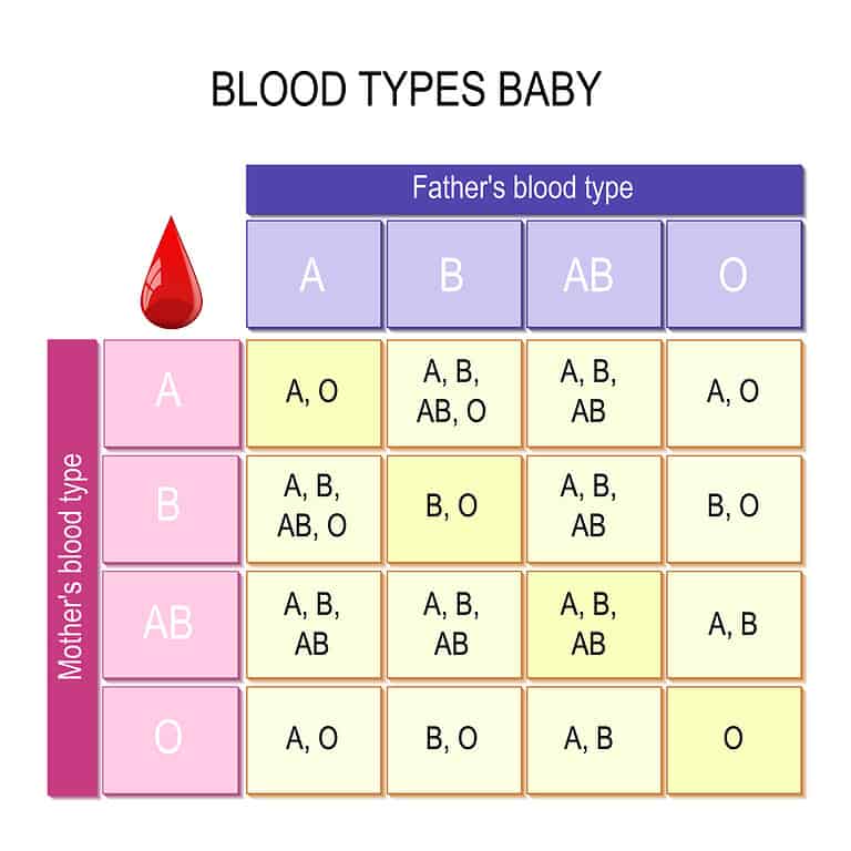 Blood Type Chart — What Are The Different Blood Types?