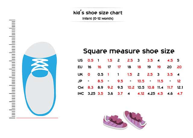 Baby's Shoe Size Chart to Choose the Right Size