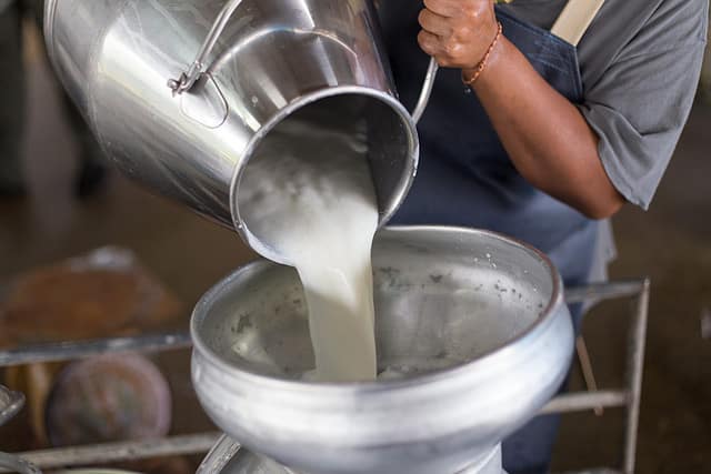 Cotija Cheese Vs Queso Fresco: How Are They Different & When To Use Each