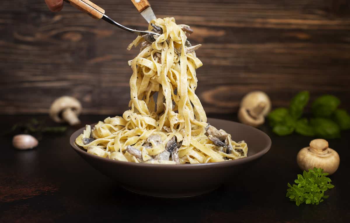 Half and Half vs Heavy Cream in Pasta: What's the Difference and Can I  Substitute Them?