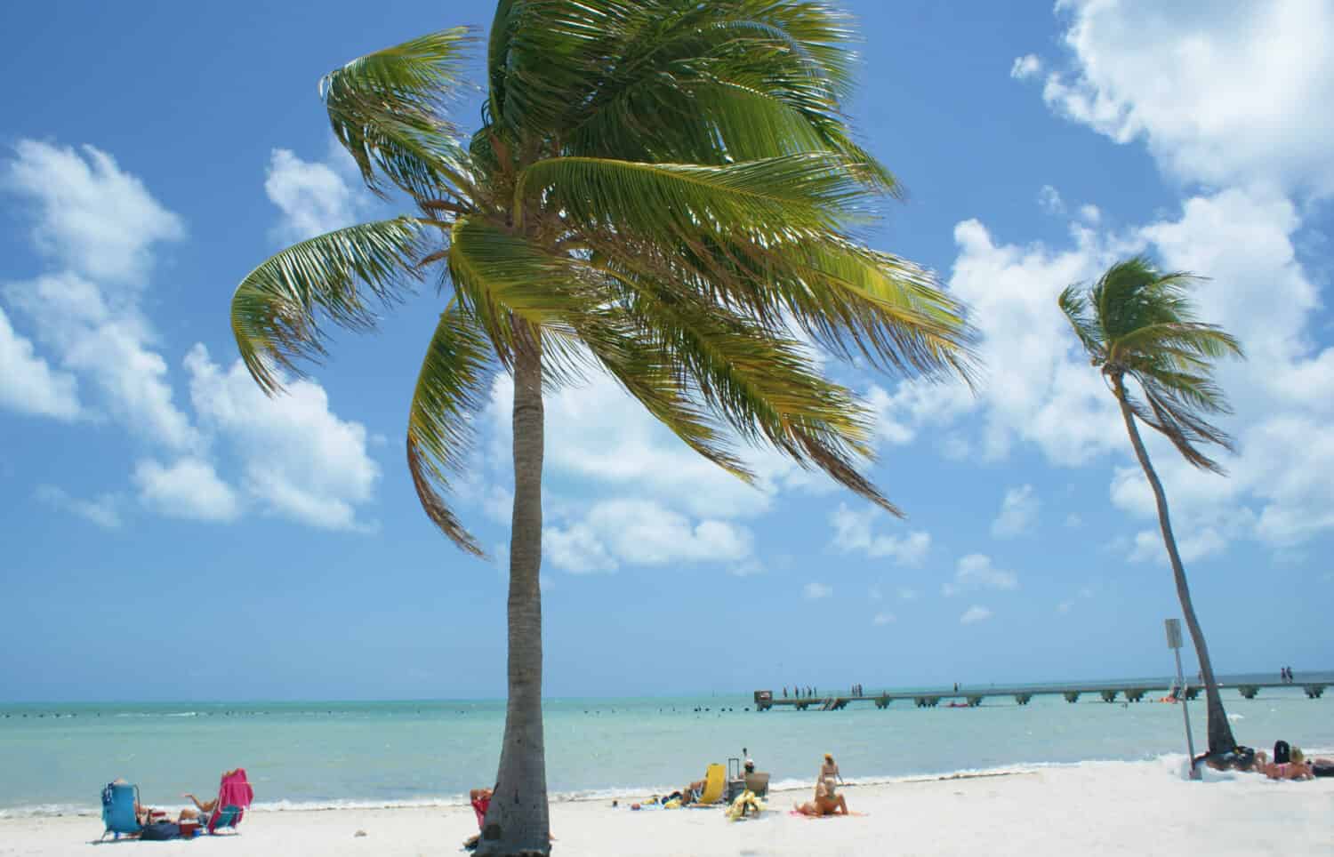 People escaping the cold winter in Key West Florida.