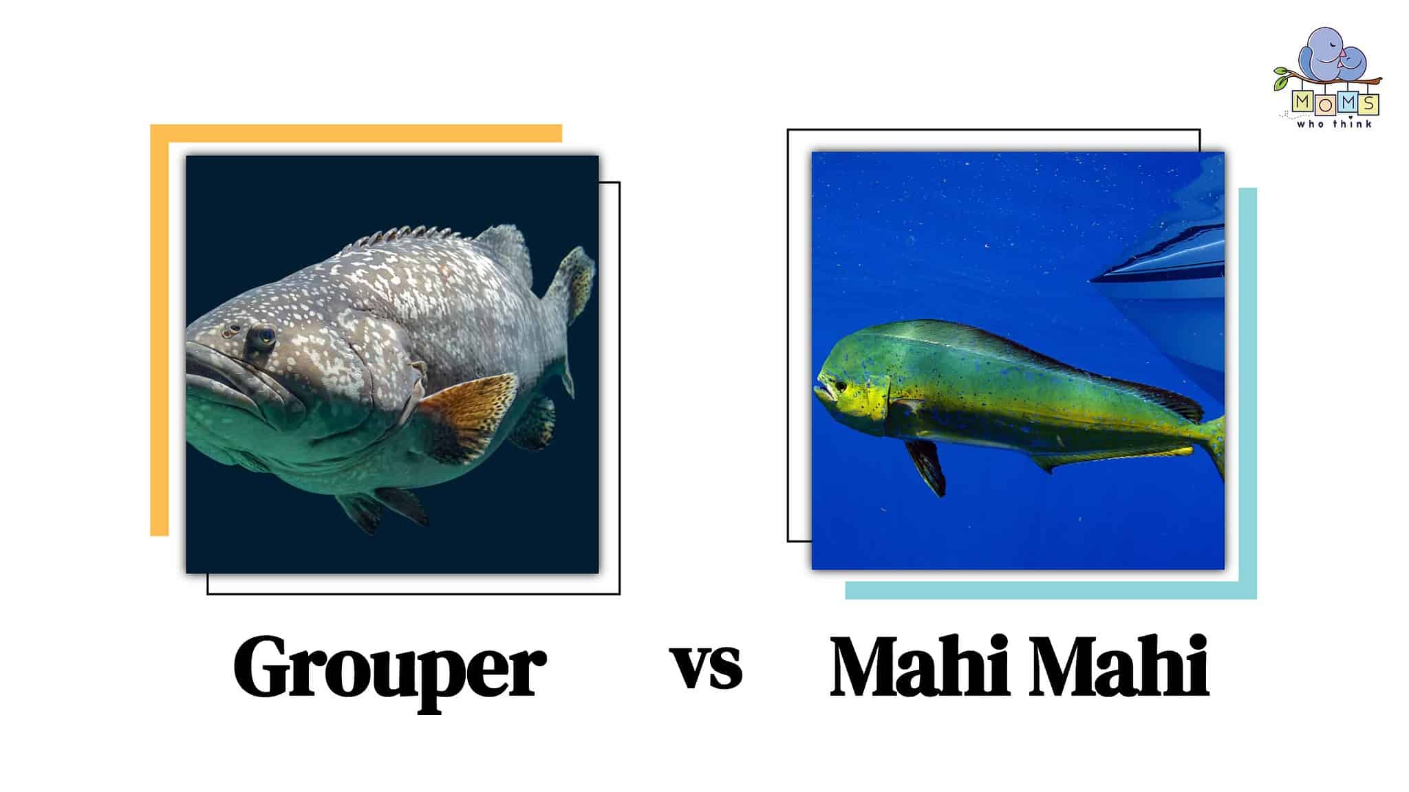 Grouper vs. Mahi Mahi: 3 Main Differences and How to Prepare Each