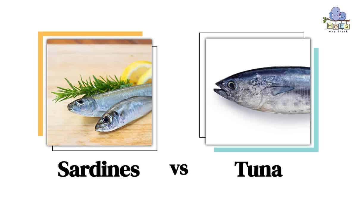 Sardines vs. Tuna: What's the Better Choice?