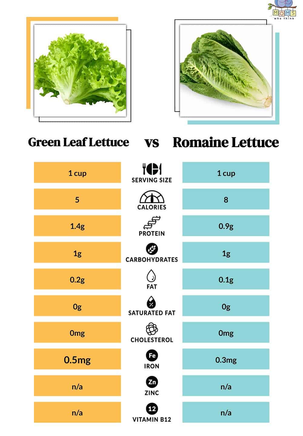 Romaine Lettuce Benefits High Quality Www bharatagritech