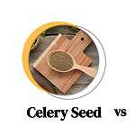 Celery Seed vs. Celery Salt: 3 Main Differences & How to Use Them