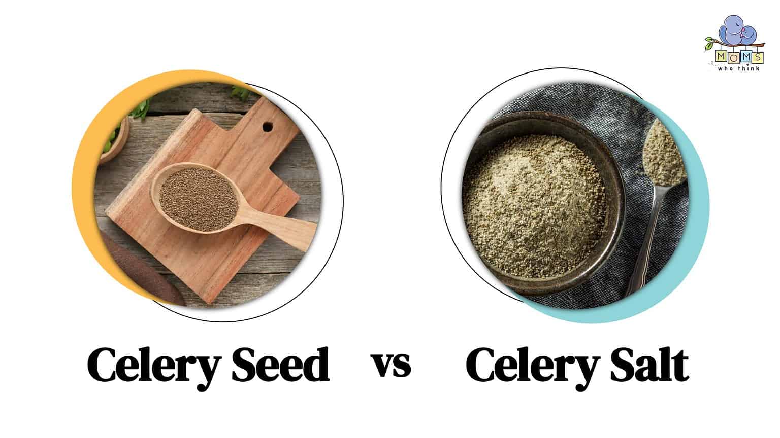 Celery Seed vs. Celery Salt 3 Main Differences & How to Use Them