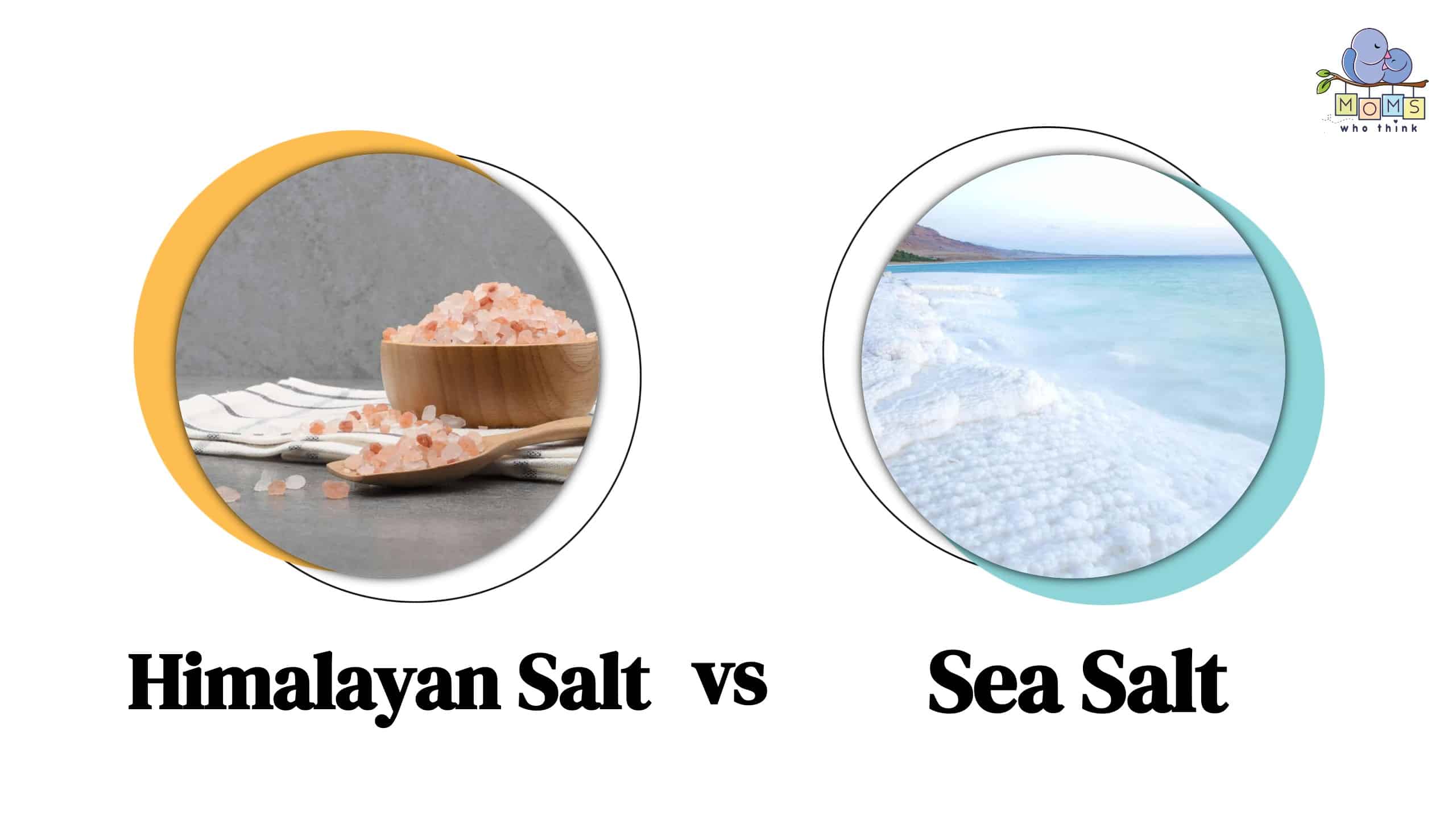 Celtic Sea Salt Vs Himalayan Pink Salt — Red Dragon Nutritionals