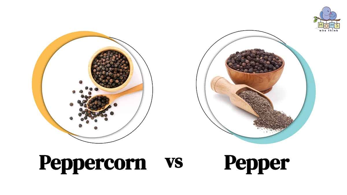 Peppercorn vs. Pepper What Is The Real Difference Between The Two