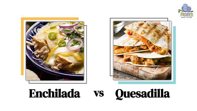Enchilada vs. Quesadilla: What Exactly Makes Them Different?