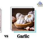 Onion vs. Garlic: Key Differences and How to Use