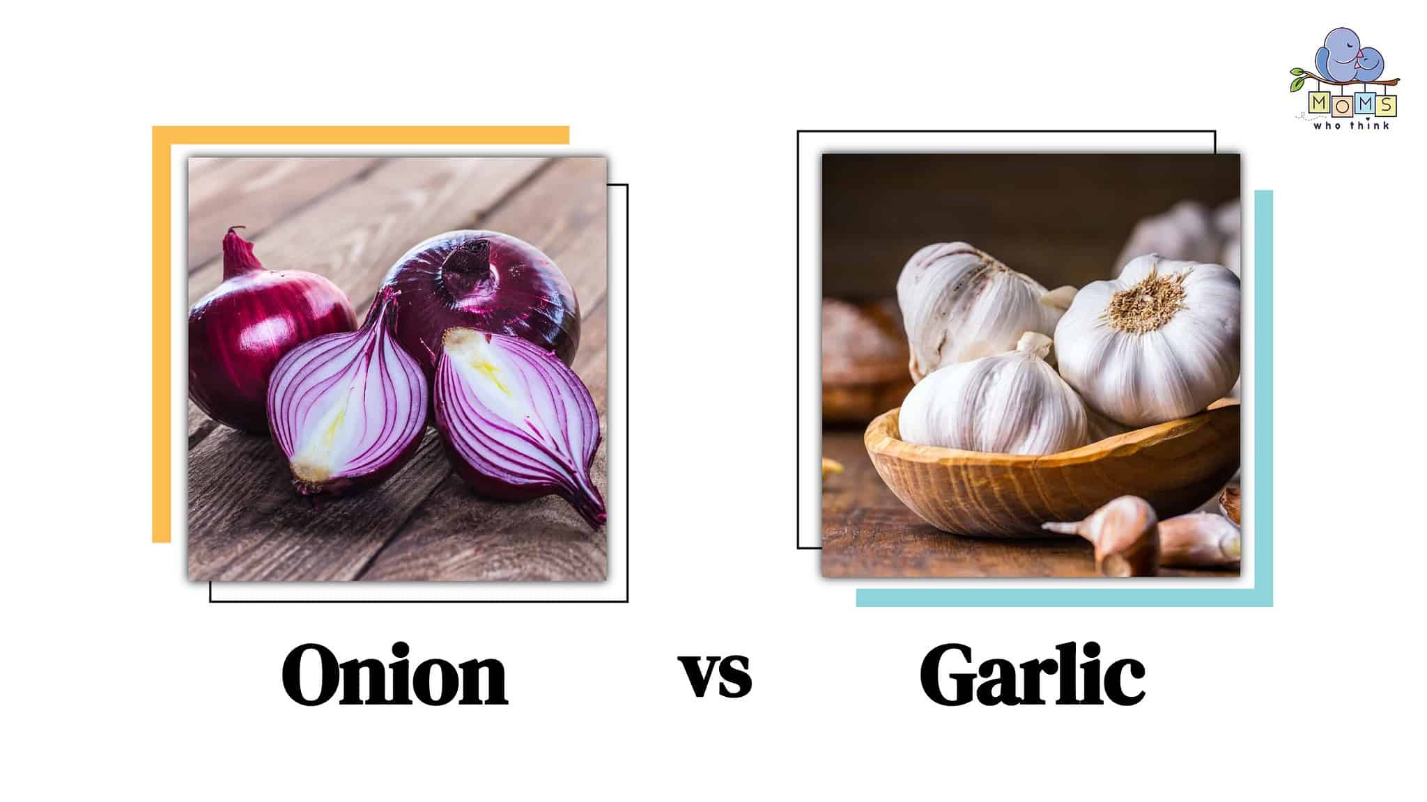 Onion vs. Garlic Key Differences and How to Use