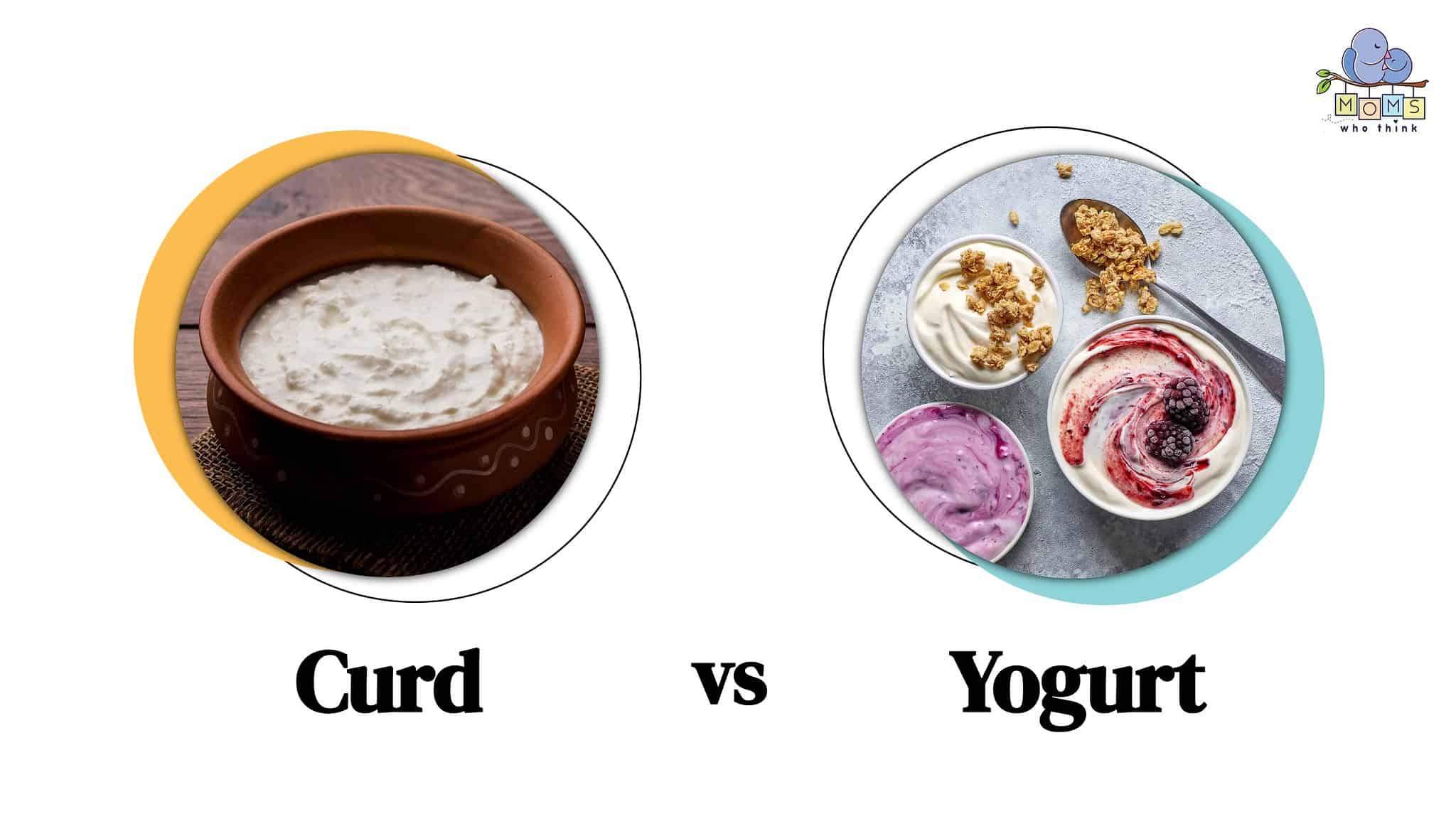 Which Dairy Base To Use: Curd Vs. Yogurt