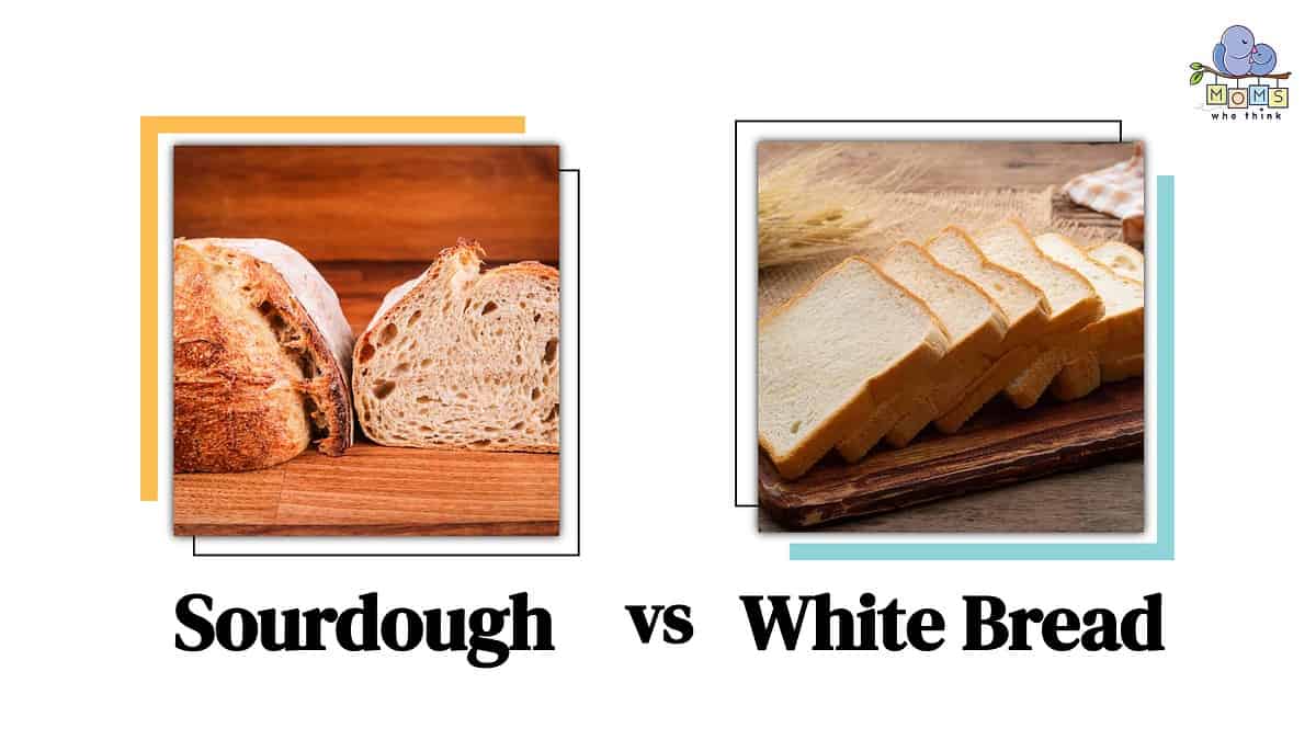 Sourdough vs. White Bread: 6 Key Differences and How to Best Serve Them