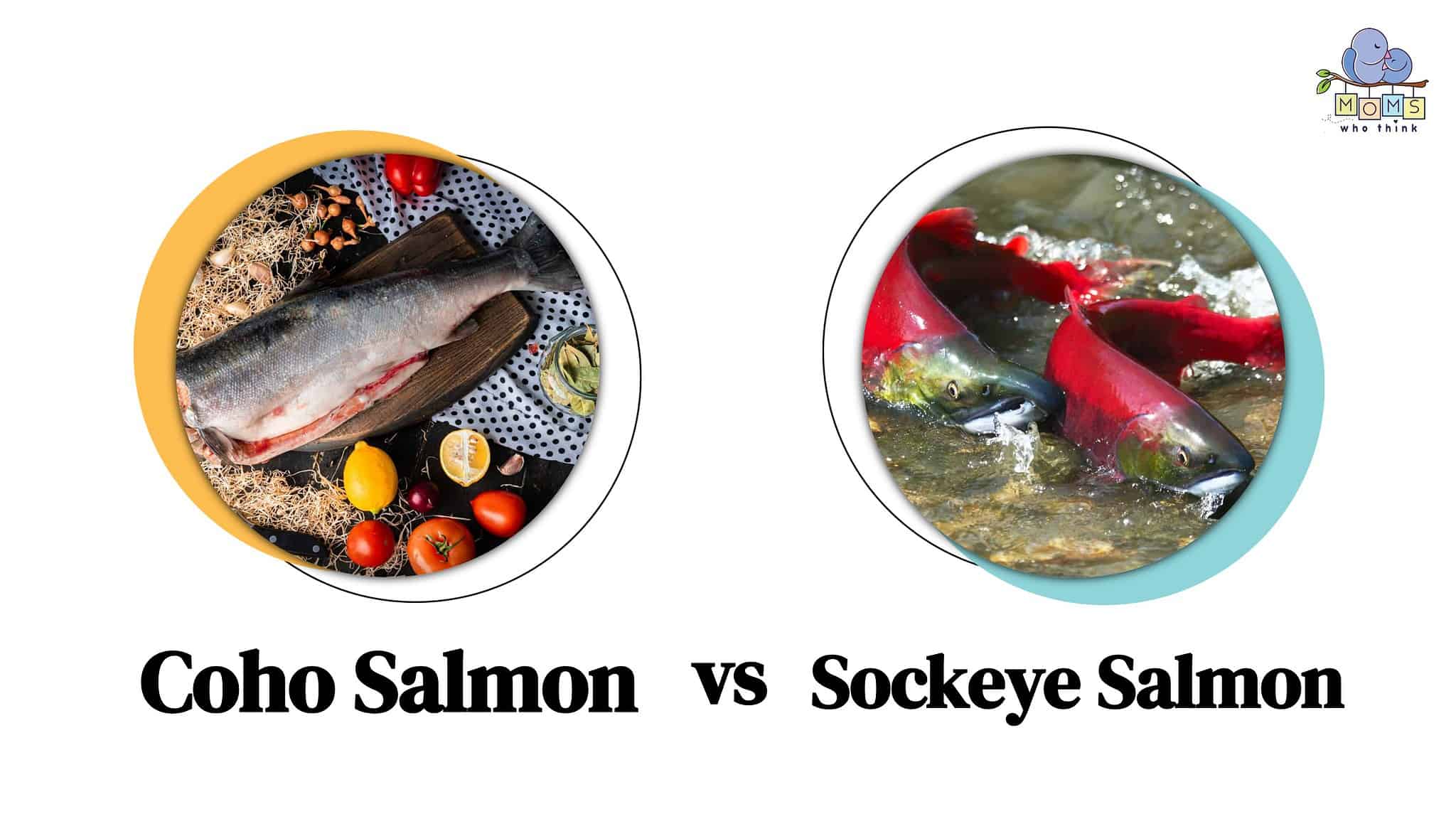 Coho Salmon Vs. Sockeye Salmon: What's Tastier, Healthier, And Better ...