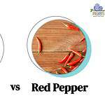 Cayenne vs Red Pepper: How Similar Are They?