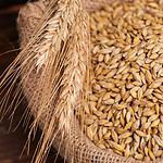 Barley vs. Rice: What's the Difference?