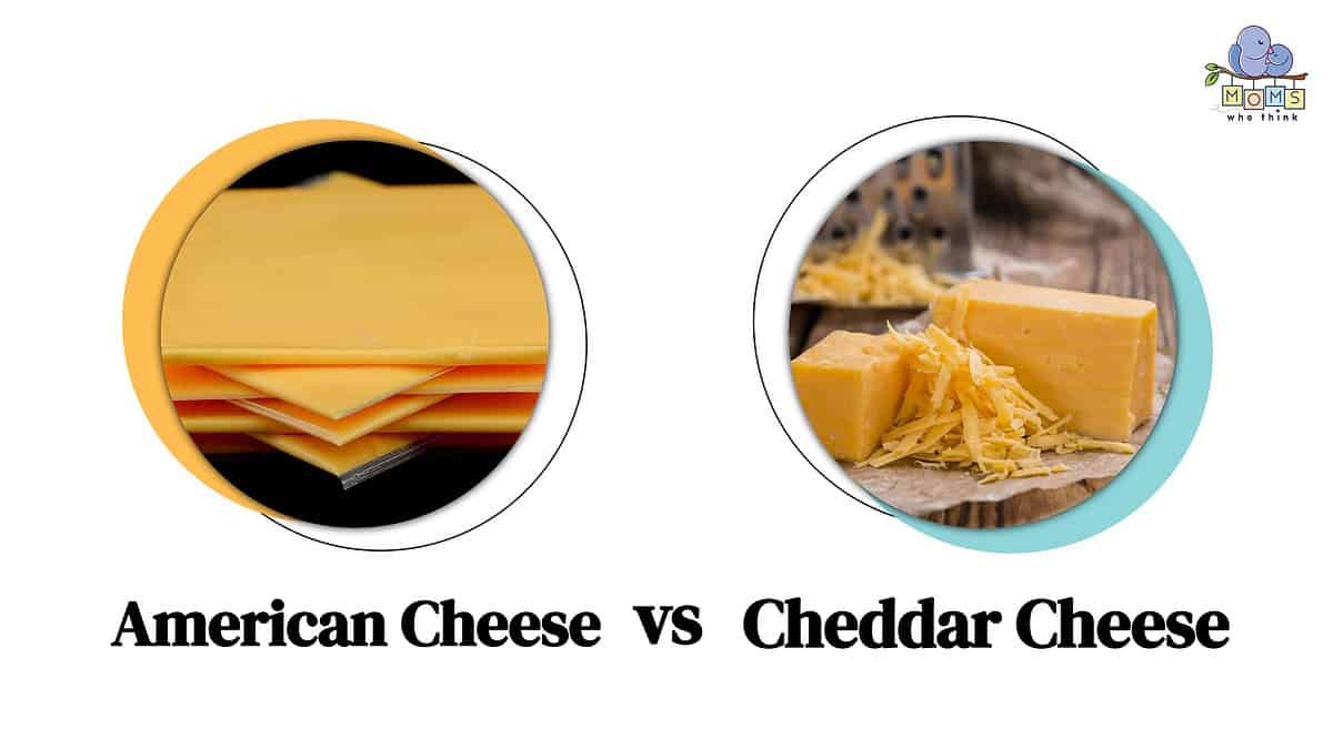 American Cheese vs. Cheddar Cheese How Are They Different & Full Nutritional Comparison