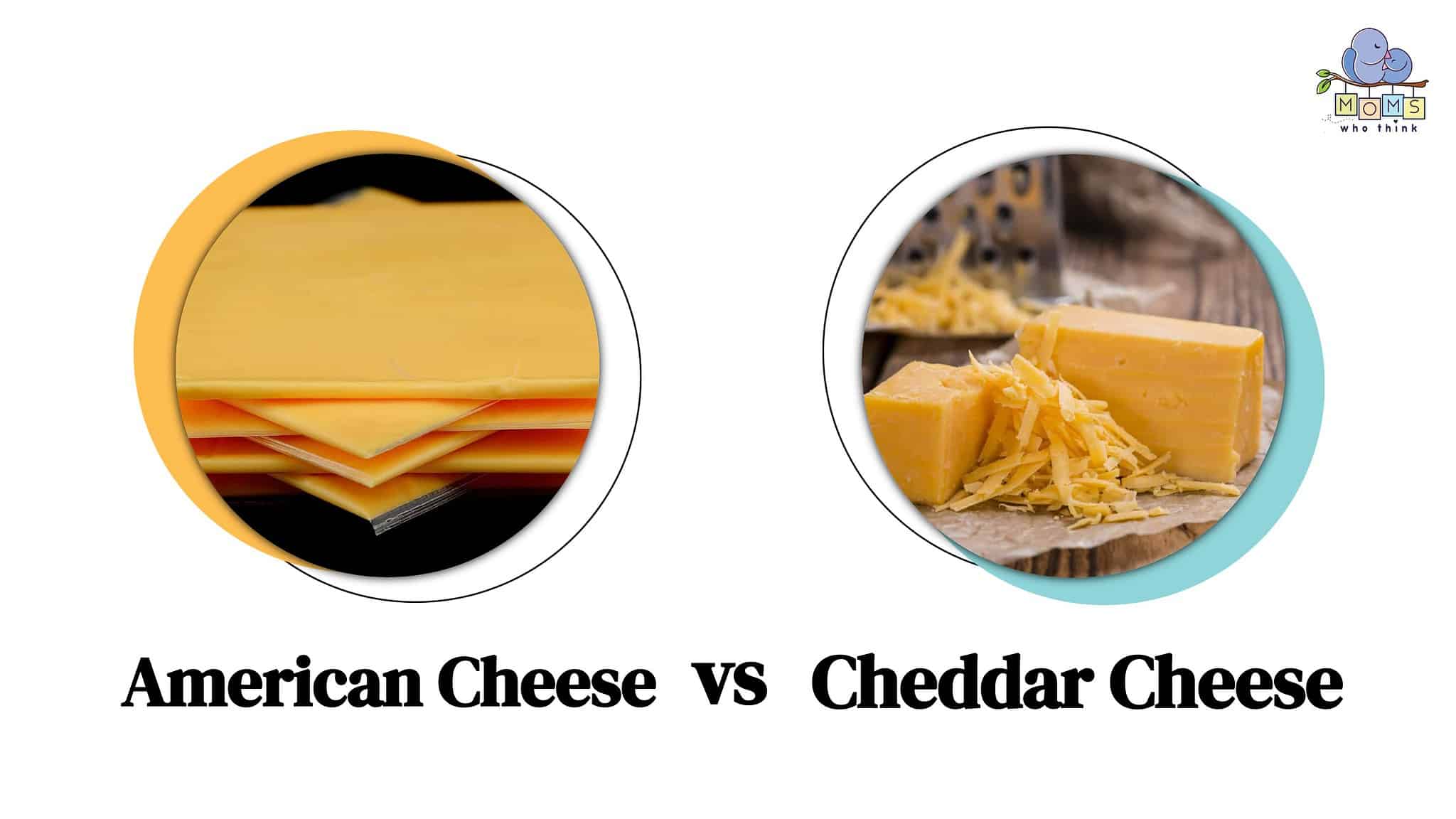 American Cheese Vs. Cheddar Cheese: How Are They Different & Full ...