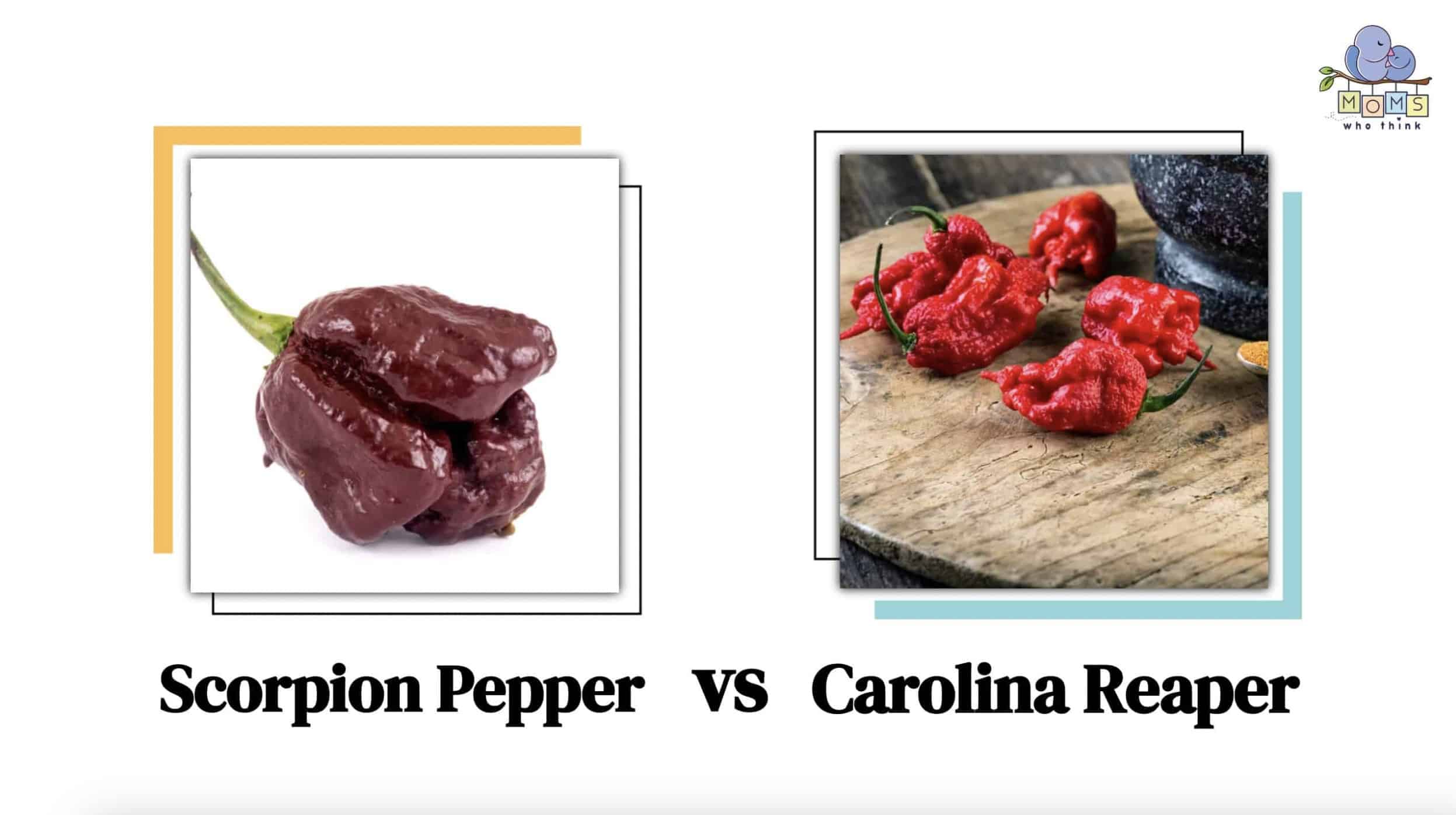 carolina reaper trinidad scorpion pepper scoville scale