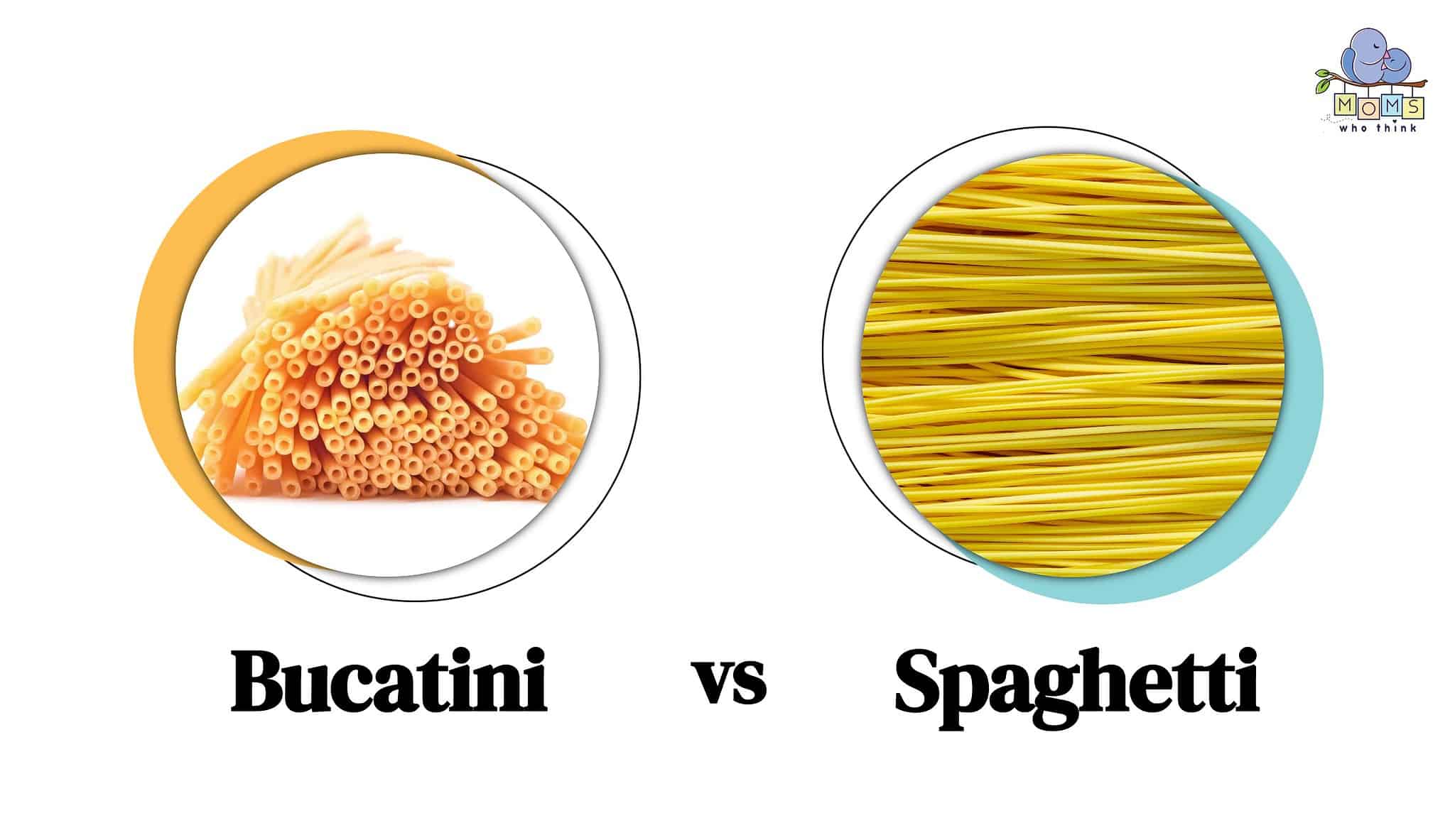 Bucatini vs. Spaghetti: How Are They Different & When to Use Each ...