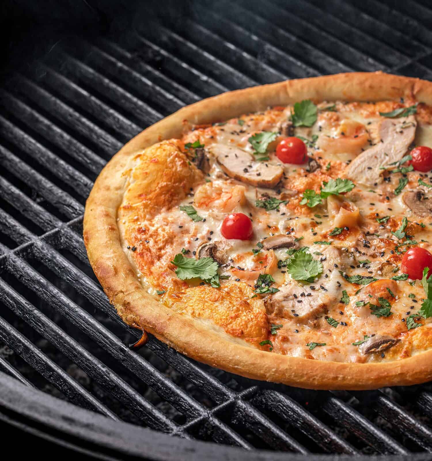 Cast Iron vs Pizza Stone: Main Differences, Pros, and Cons