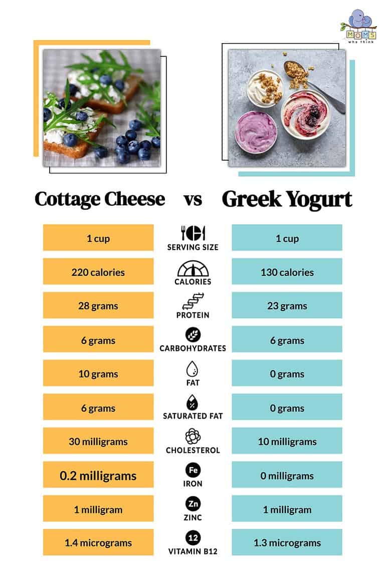 Cottage Cheese Vs Greek Yogurt: Full Health Comparison & 3 Key Differences