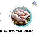 White Meat vs Dark Meat Chicken: Full Health Comparison with Calories, Fat, and More