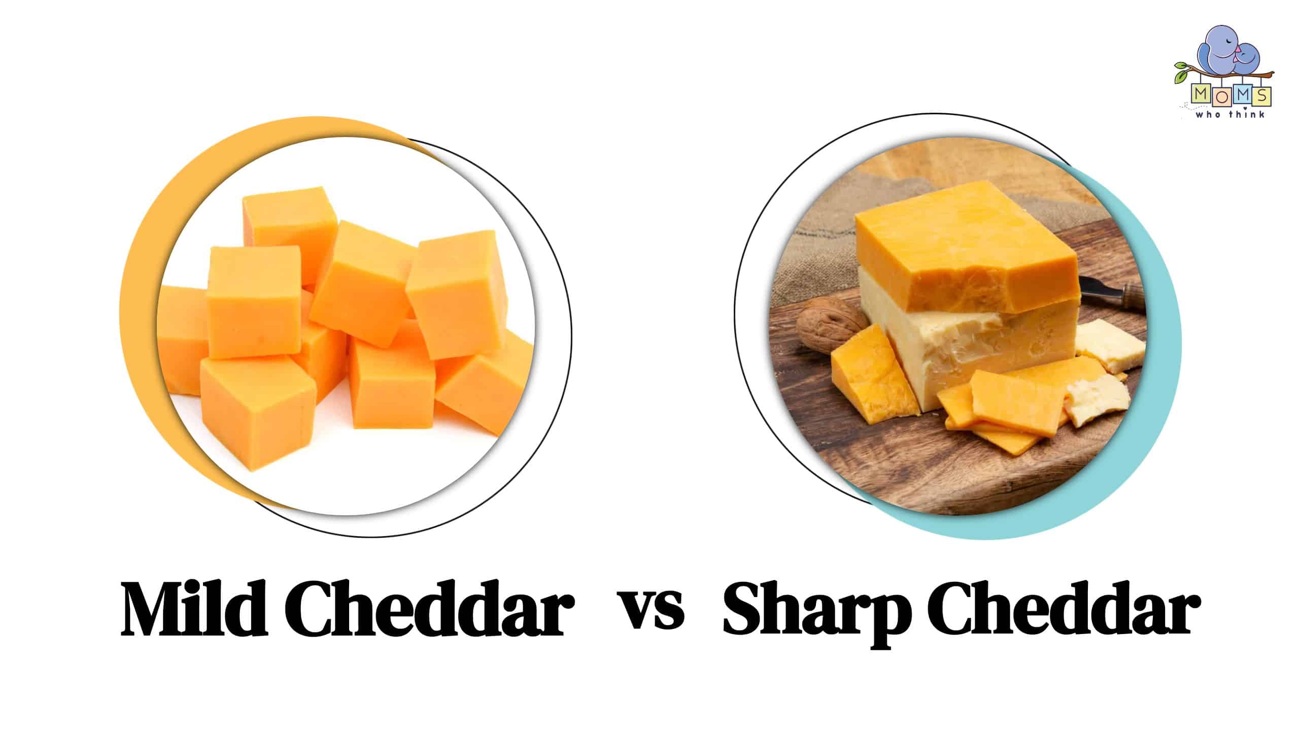 Tasting the Differences: Mild Cheddar vs. Sharp Cheddar