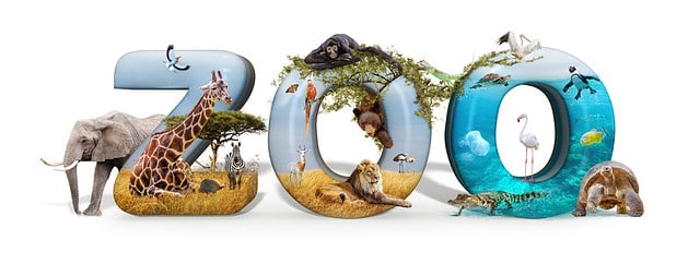 Zoo word in 3D with African nature wildlife animals and aquarium conceptual scene