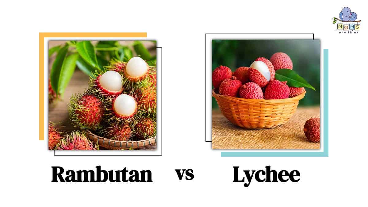 Rambutan Vs Lychee 3 Differences And Which Is Healthier 1054