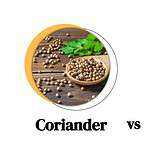 Coriander vs. Cilantro: 3 Key Differences & Full Nutrition and Health Comparison