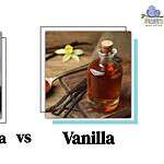 French Vanilla vs. Vanilla: Taste Differences & When To Use Each Flavor