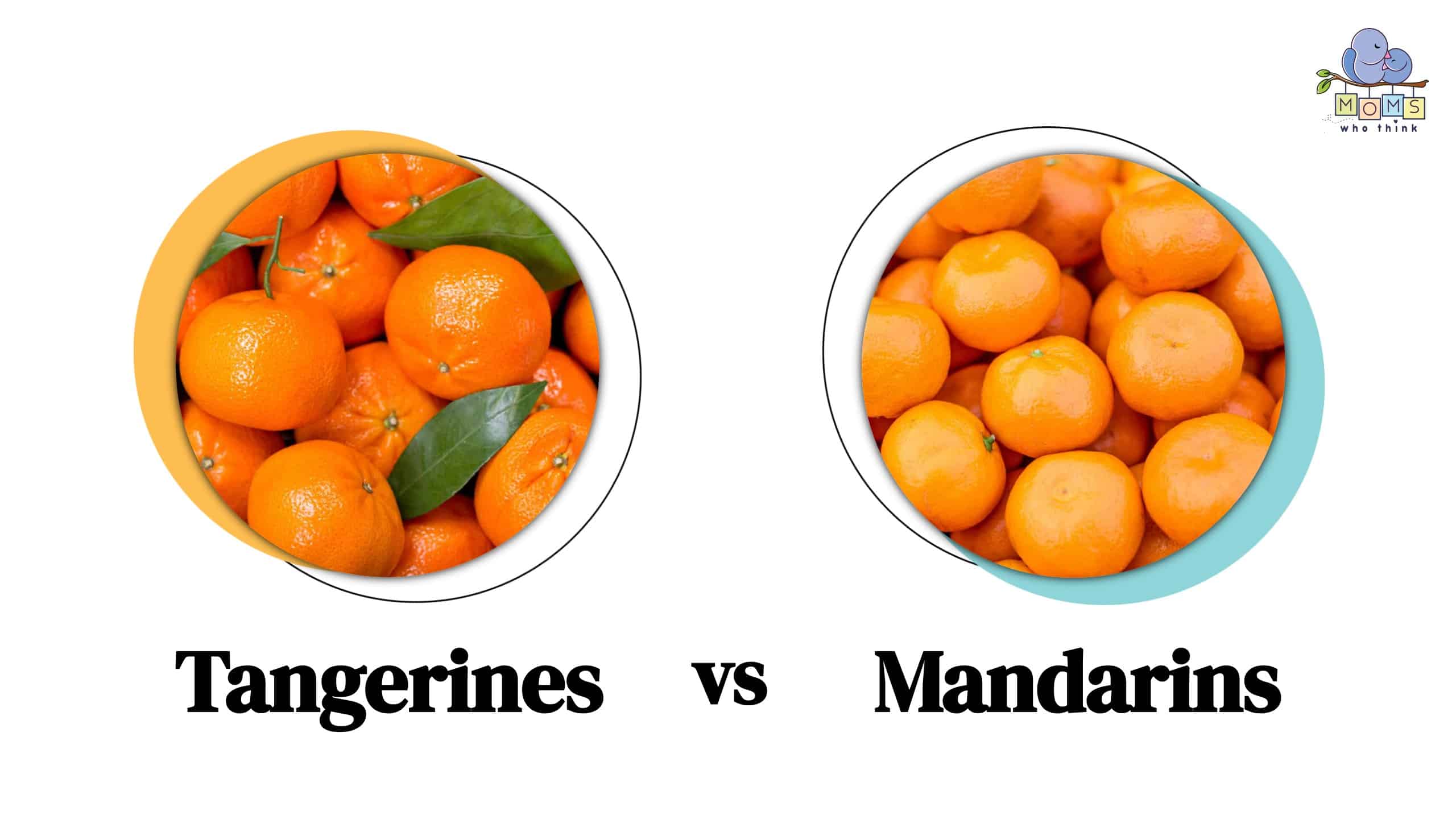 What Are The Benefits Of Tangerines? - Differences Between Oranges,  Tangerines, and Clementines